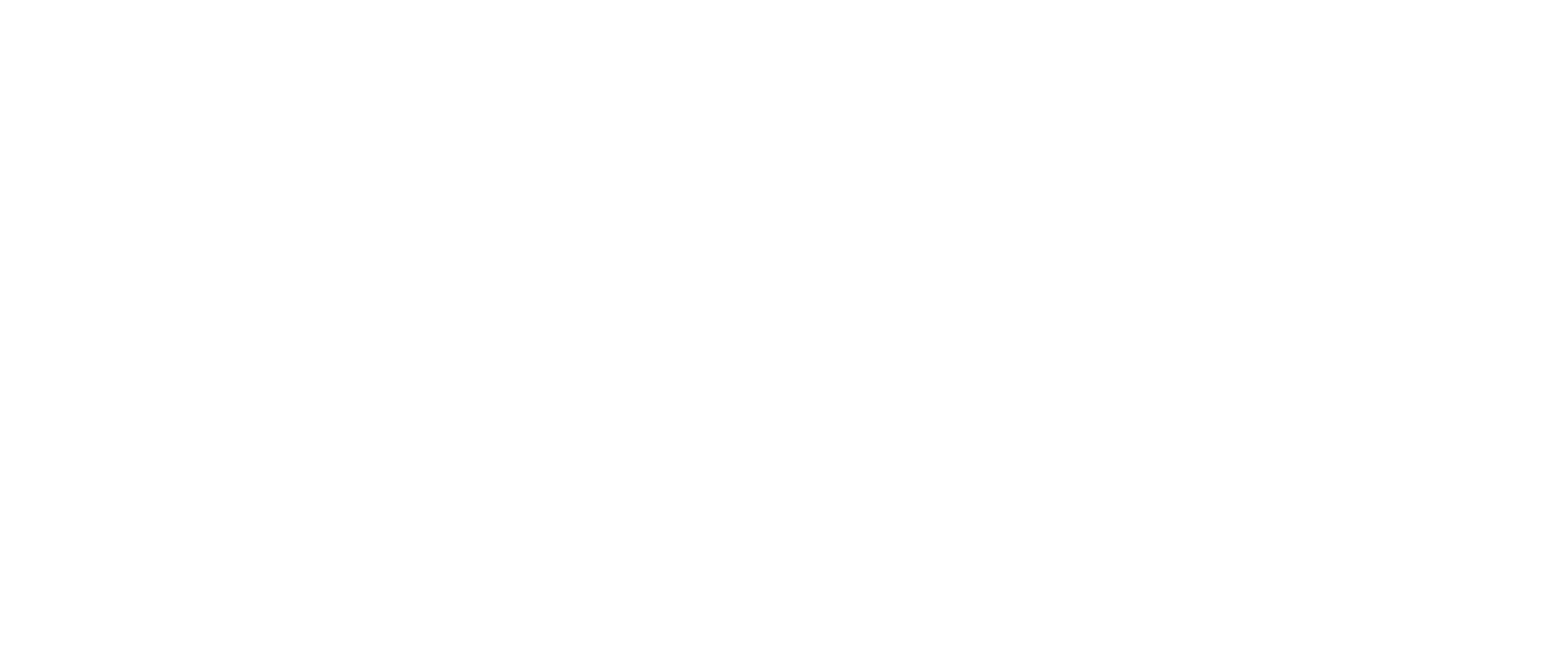 ZAC Information Technology